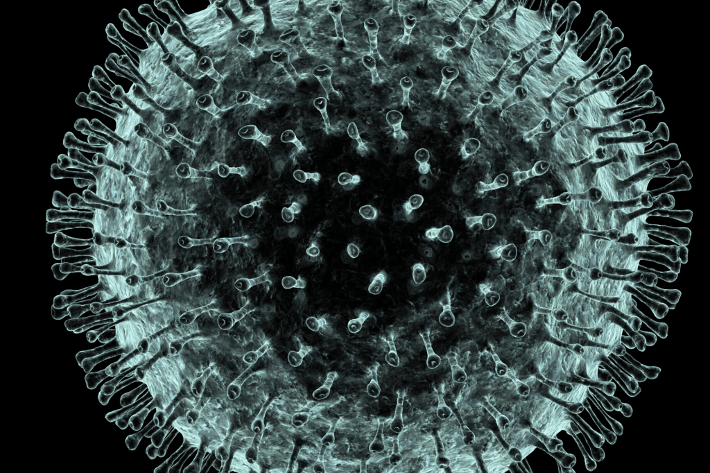 image of Coronavirus