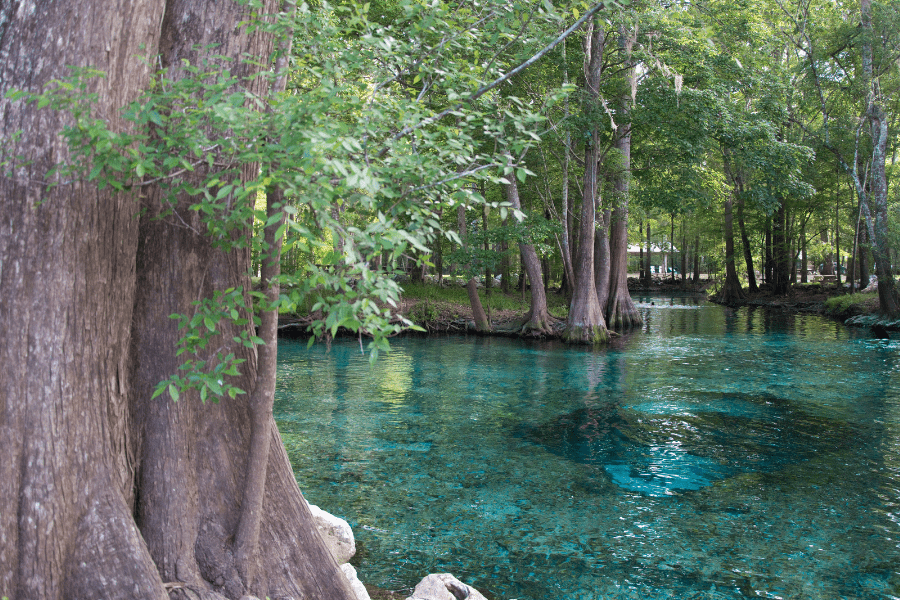 Explore Florida’s Springs In July